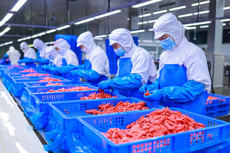 4月經濟下行壓力加大，但長期向好基本面未改——從食品出口看韌性